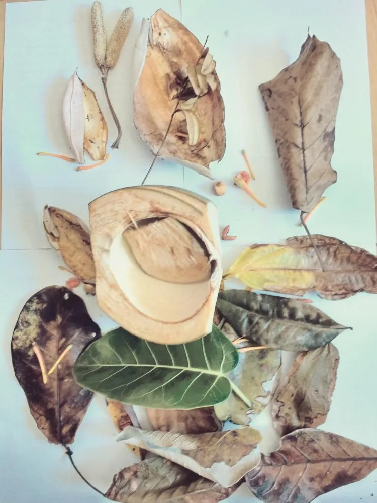 Taurino Ara&uacute;jo - Assemblage: Making Art in the City Park, (2017)