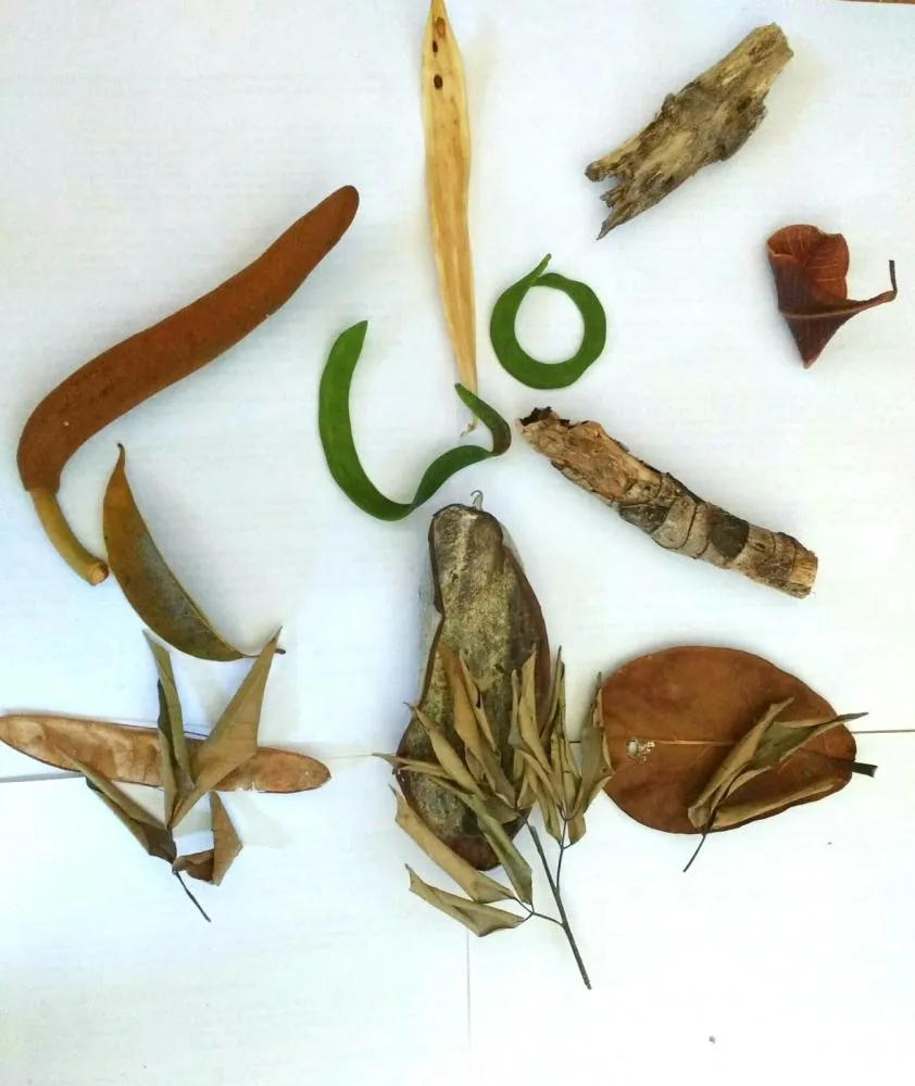 Taurino Ara&uacute;jo - Assemblage: Making Art in the City Park, (2017)