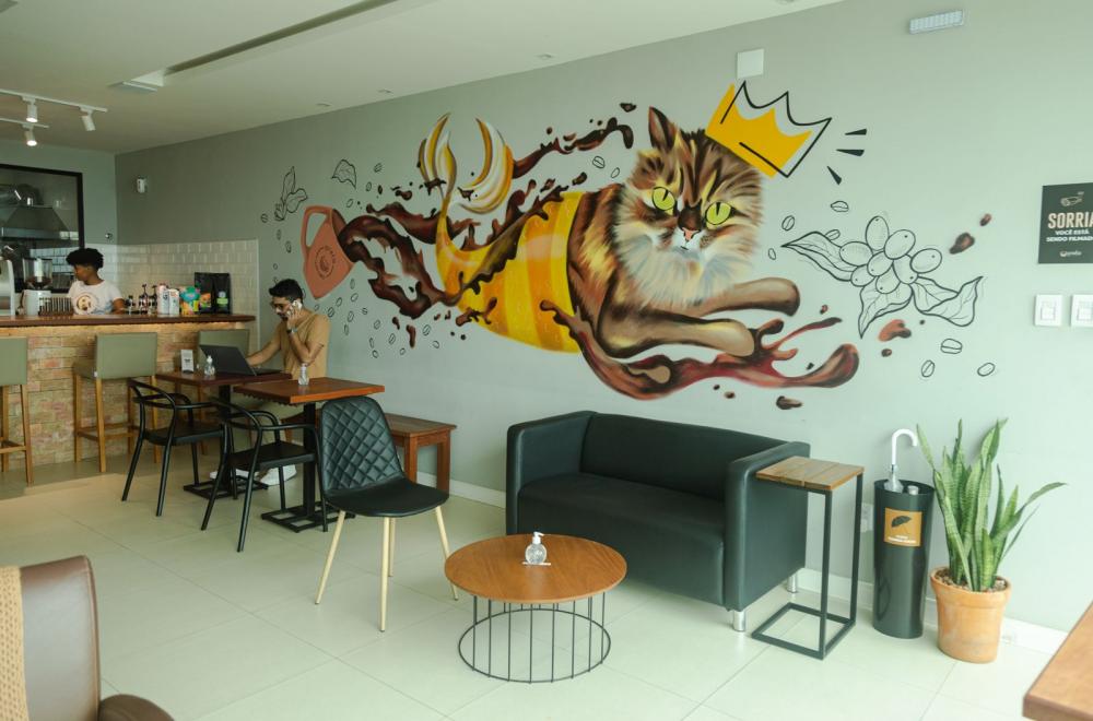 Conheça o Preta Cat Café, cafeteria em Salvador que oferece experiência afetiva com felinos