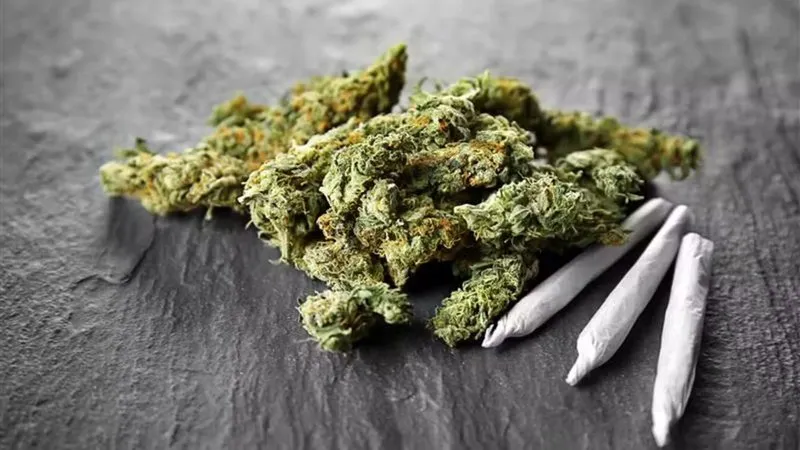 Levantamento aponta que 18,7% da população já experimentou drogas ilícitas, com maconha como a mais consumida / Foto: AdobeStock
