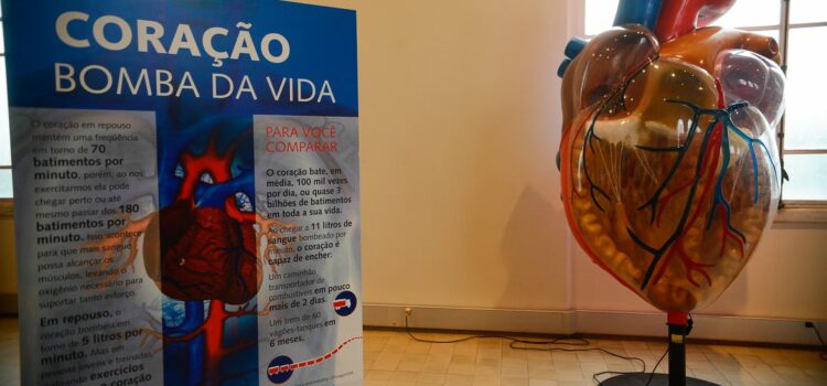Internações por infarto aumentam mais de 150% no Brasil