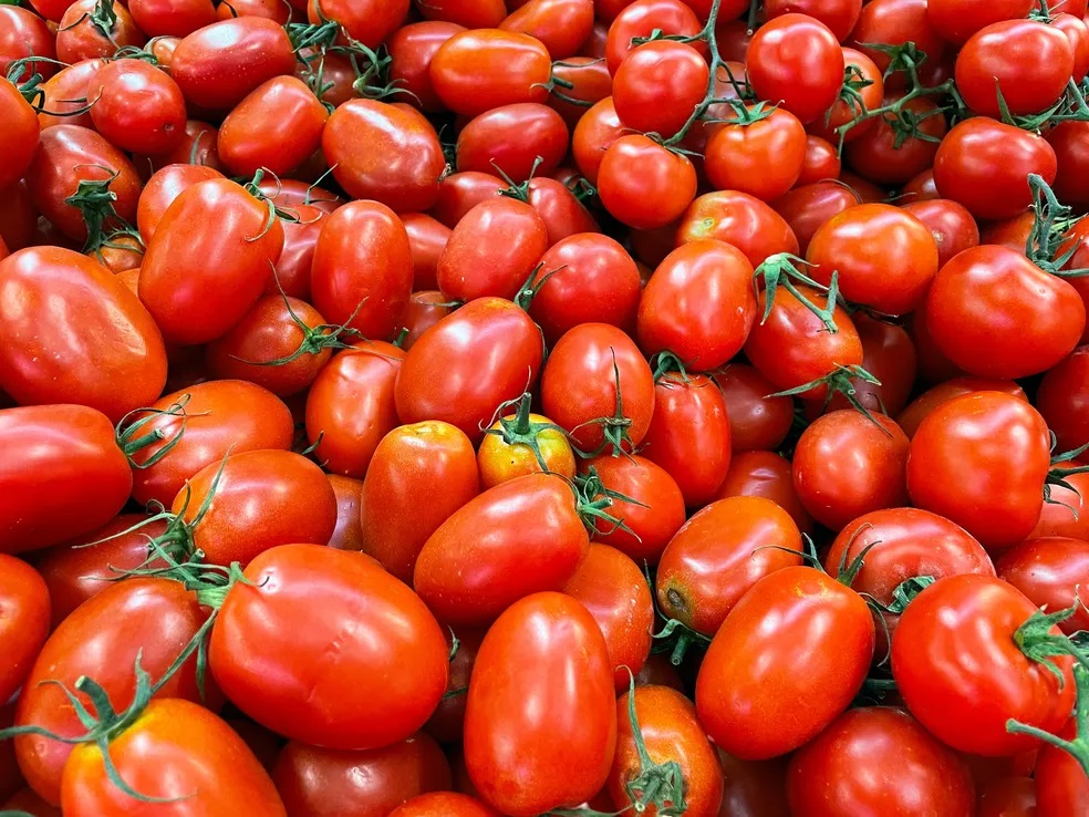 Preço do kg do tomate chega a custar R$ 14,99 em Salvador