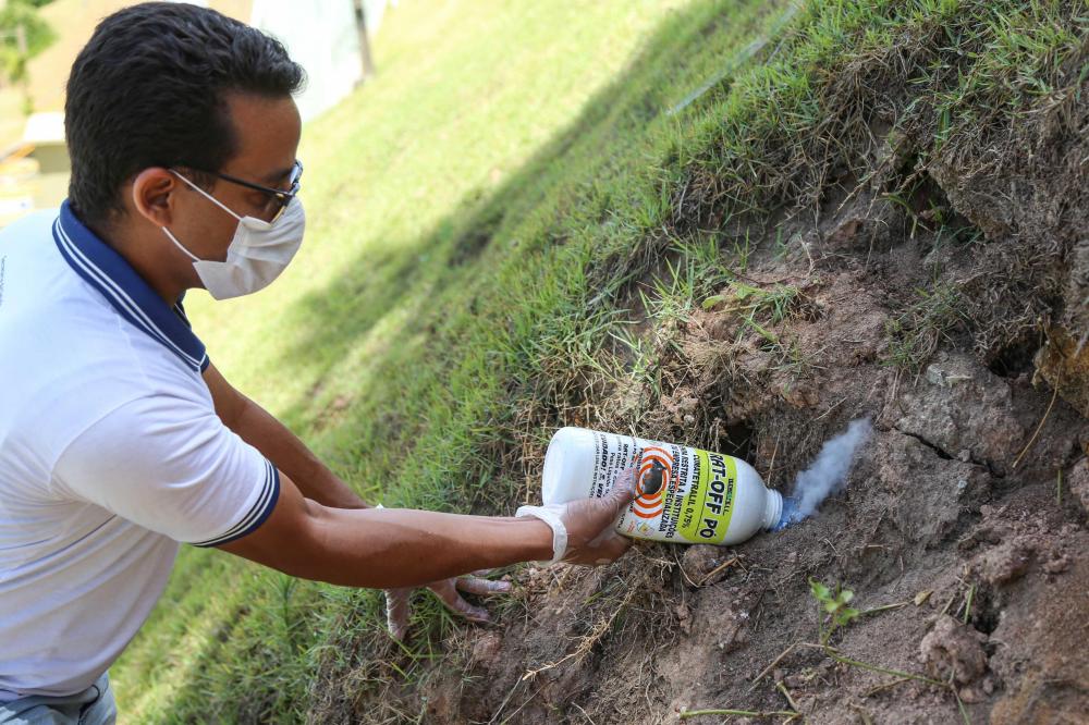 CCZ fecha cerco contra a leptospirose em Salvador