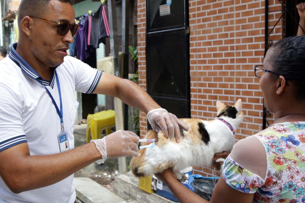 Orla e pontos turísticos de Salvador receberão ações de intensificação contra raiva 