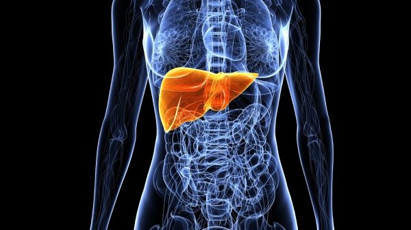 Um perigo silencioso chamado Hepatite B: 6 em cada 10 brasileiros não sabem que estão infectados; saiba os sintomas