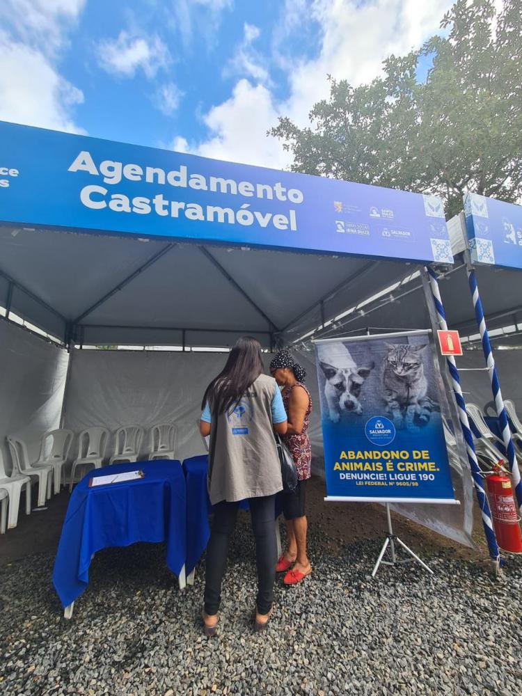 Secis oferece serviços para animais na Festa de Santa Dulce dos Pobres 