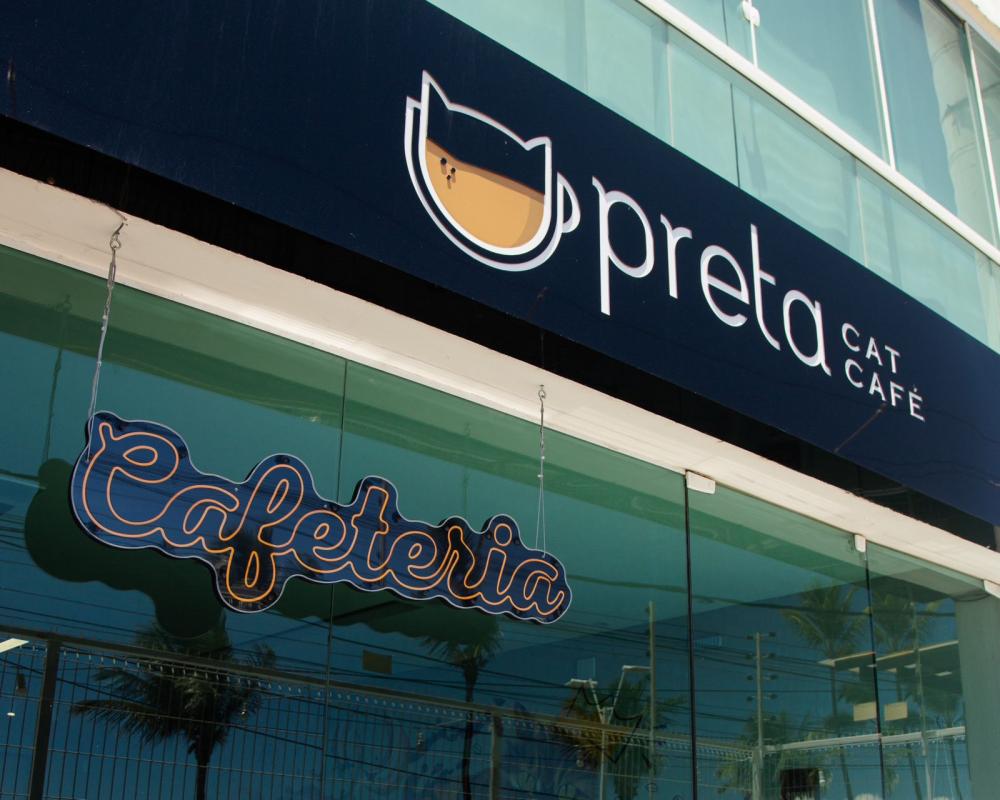 Sabia que agosto é o mês do gato? Cafeteria no Rio Vermelho proporciona adoção responsável