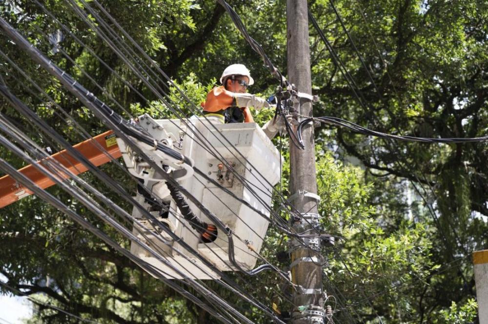Neoenergia Coelba e SEMAN dão início a Mutirão de Podas em Salvador no domingo (3)