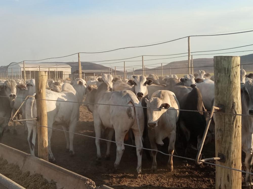 Fotos: Galego Noticias / Claudio LEITE 