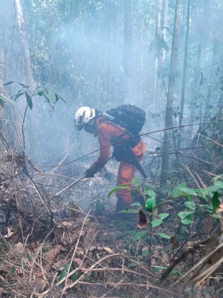 Imagens do combate no Parque Nacional Monte Pascoal: Divulgação