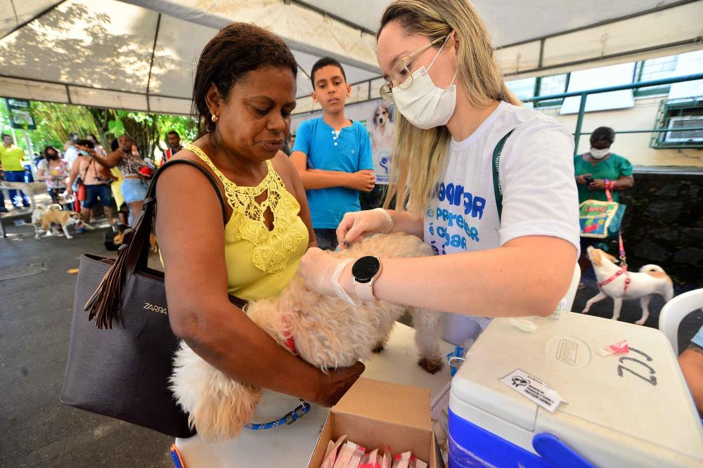 Foto: Jefferson Peixoto/Secom PMS