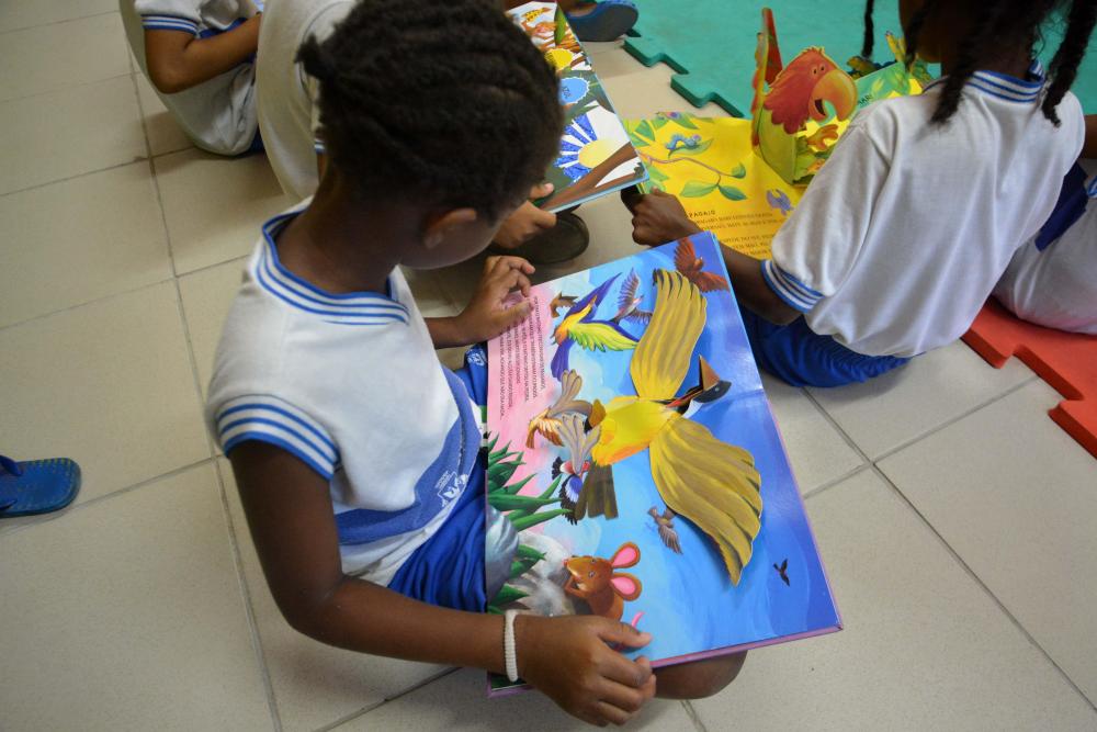 Foto: Jefferson Peixoto/Secom PMS