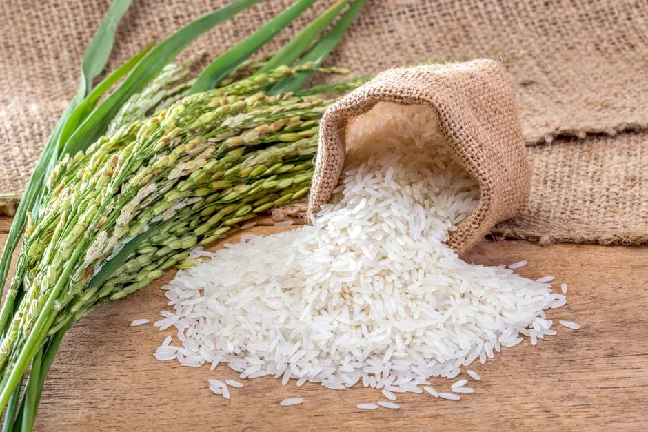 Foto reprodução google arroz brejeiro 