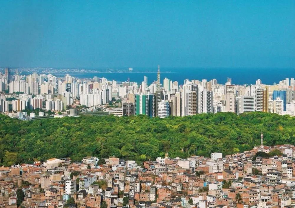 Foto: Manu Dias/Bahia 